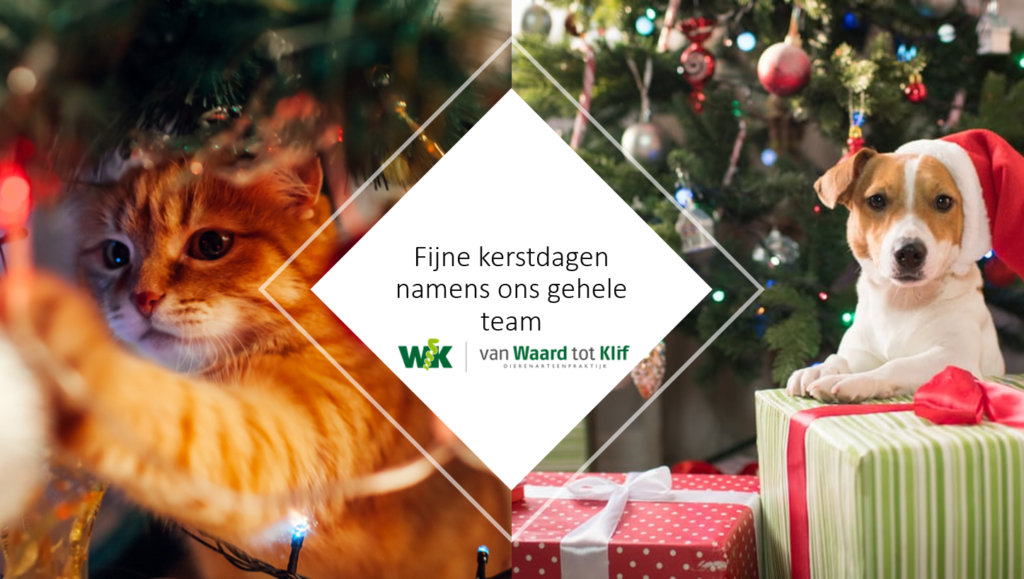 2e kerstdag zijn wij gesloten! van Waard tot Klif, Dierenartsenpraktijk